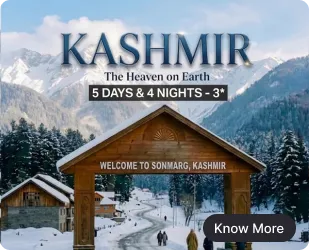 kashmir-3n.webp