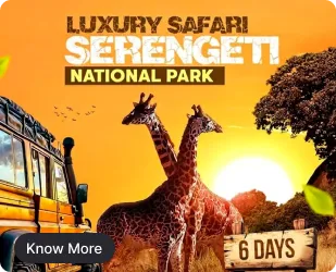 serengeti.webp